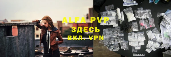 спиды Кукмор