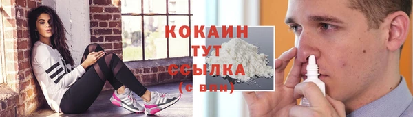 спиды Кукмор