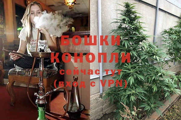 мескалин Великий Новгород
