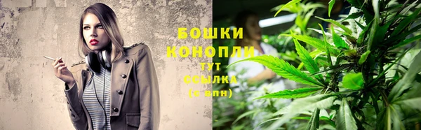 2c-b Лагань